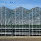Sides And Top Ventilation System Multispan Glass Covered Venlo Type Greenhouse
