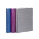 Custom A4 Pearlescent Printing PVC Binder Paper Folder with PVC Material and BOX FILE