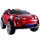 2-4 Years Age Range Electric Ride On Car with Remote Control and Leather Seat Option