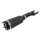 Front Air Suspension Shock Absorber For Mercedes W251 R - Class