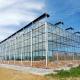 Fruits Flowers Multispan Greenhouse Structure Modern Glass Greenhouses