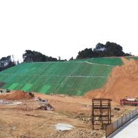 3D Geomat Onsite Inspection Service and Firm Grass Seed Distribution for Slope Protection