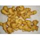 6.5kg pack 200g Brightly Yellow Air Dried Ginger