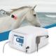Portable Air Pneumatic Equine Shockwave Therapy Machine Shock Wave For Horse