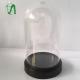 Transparent Clear Dome Bell Jar For Gift Packaging Flower Cover