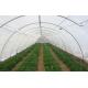 High Performance Greenhouses Insect Mesh Netting 48% Porosity Easy Installation