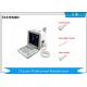 Digital Portable Ultrasound Machine For Pregnancy Woman Two Transducer Connector