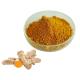 Curcumin 95% Turmeric Extract Powder For Healthcare Supplement Natural