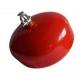 Hanged Automatic Fire Extinguisher ABC30% 6Kg Easy Use With Sprinkler Valve
