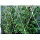 YT-1630 Stainless Steel Trellis Greenery System 7x7 / 7x19 Cable Structures