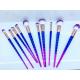 Fashion Two Color Handle Cosmetic Makeup Brush Set 10 pieces full function