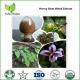 Horny Goat Weed Extract for sex improvement,Epimedium Extract  for sex improvement