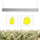 Indoor / Outdoor Plant Lights , High Penetration 200W 4 Foot Led Grow Lights