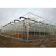 10m Single Span Greenhouse