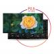 Indoor Full Color LED Module Dynamic 1/8 Duty Constant Current Driver Mode for Optimal Performance