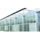 Agricultural Intelligent Glass Multi Span Greenhouse Galvanized Steel Structure
