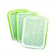 24.5cm Wide Plastic Hydroponic Trays Seed Sprouter Tray With Lid Anti Corrosion