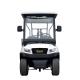 4 Seats Electric Golf Car Sightseeing Car with Ladder for Disabled People Trojan Battery Curtis Motor Controller