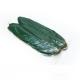 Vacuum Packed Zongzi Bamboo Leaves Width 5 - 11cm