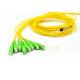 SC APC Single Mode Fiber Patch Cord 12 Cores Yellow Color 55dB Return Loss