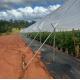Good Quality Poly Tunnel Low Cost Hot Sale Polytunnel Berry Greenhouse