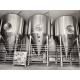 304 Conical Beer Fermentation Tank CKT CCT Cooling Jacket Unitank