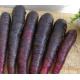 Good quality Black Carrot Powder Extract Anthocyanin 10