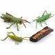 4 PCS Realistic Insect Locust Animal Life Cycle Model Figure Cake Toppers Learning Development Toys for Boys Girls Kids
