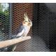 stainless steel 304/316 Aviary mesh for bird cages netting/aviary building