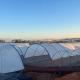 Multi-Span Structure Greenhouse Commercial Modern Bluberry Hoop Green House With Film Covering