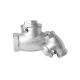Stainless Steel Swing Check Valve with NPT Thread and Manual Driving Mode 200wog