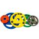 Non Deformation Rubber Coated Gym Bumper Plates Colorful Competition Kg Plates