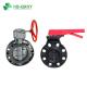 Flange Connection PVC Butterfly Valve for Pressure Test Water Supply Valve by Gear Handle
