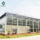 Stable Hot Galvanized Steel Venlo Glass Greenhouse 3.0mm Thickness