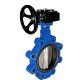 ODM EPDM Seated Carbon Steel Body Semi-Lug Butterfly Valve for Water Heater Service