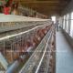 2.2m By 2.4m By 1.95m Layer Battery Cage System 4 Tier 160 Capacity Sandy