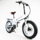 6Speed Fat Wheel Folding Electric Bike , 120KG Load Folding Mountain Ebike