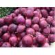 Metabolism Enhancing Fresh 6cm Restaurant Red Onion