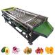 Automatic Production And Fruit Size Grader Fruit Vegetable Processing Machine With Washing Function
