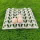 Reusable Agriculture Egg Tray With 30 Holes Rectangular Shape For Safe Transport In Carton
