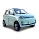 European Market Eco-Friendly Electric Car with Front Disc Rear Drum Brake System