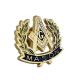 Promotion Gift Metal Lapel Pins Personalised Iron Brass Pin Badges