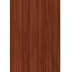 0.5mm SPC Luxury Vinyl Flooring UV Protected ELM Shade Burlywood Wood Grain GKBM DG-W50006B
