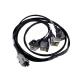 IP67 Waterproof Waterproof Wire Harness Beidou Navigation 250V Electrical Wiring Harness