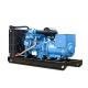 Water Air Cooling Yuchai Diesel Generator 50HZ 60HZ Small Diesel Electric Generator
