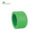 Thermosetting Plastic Pipe Fittings PPR End Cap for Hard Tube Plumbing Materials