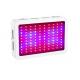 LED Indoor Plant Grow Lights IP41 Protection Grade Low Energy Consumption