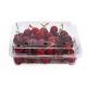 1000ml Clear Cherry Box Disposable Plastic Fruit Containers