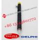 Delphi Common Rail Fuel Injector EJBR04101D JBR02101Z 8200049876 Excavator For Delphi  Engine
