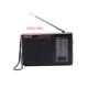 1600KHZ. AM FM Radio Receiver Adjustable Volume Small Speaker Radio With Lanyard